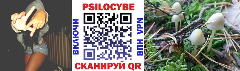 Галлюциногенные грибы Magic Shrooms  MEGA маркетплейс  Козловка 